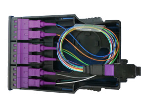 MPO - SC Fiber Cassette - 12C OM4 (UPC) - With Cable